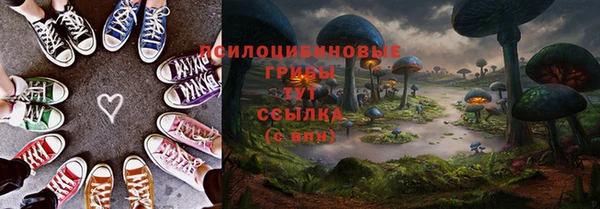 apvp Алексеевка