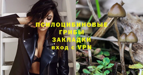 спиды Аркадак