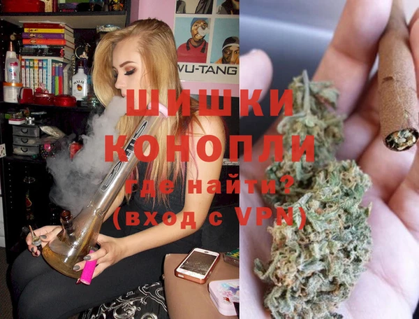 индика Беломорск